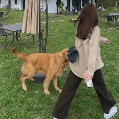 蹩脚魔术师：糟糕的圣诞节